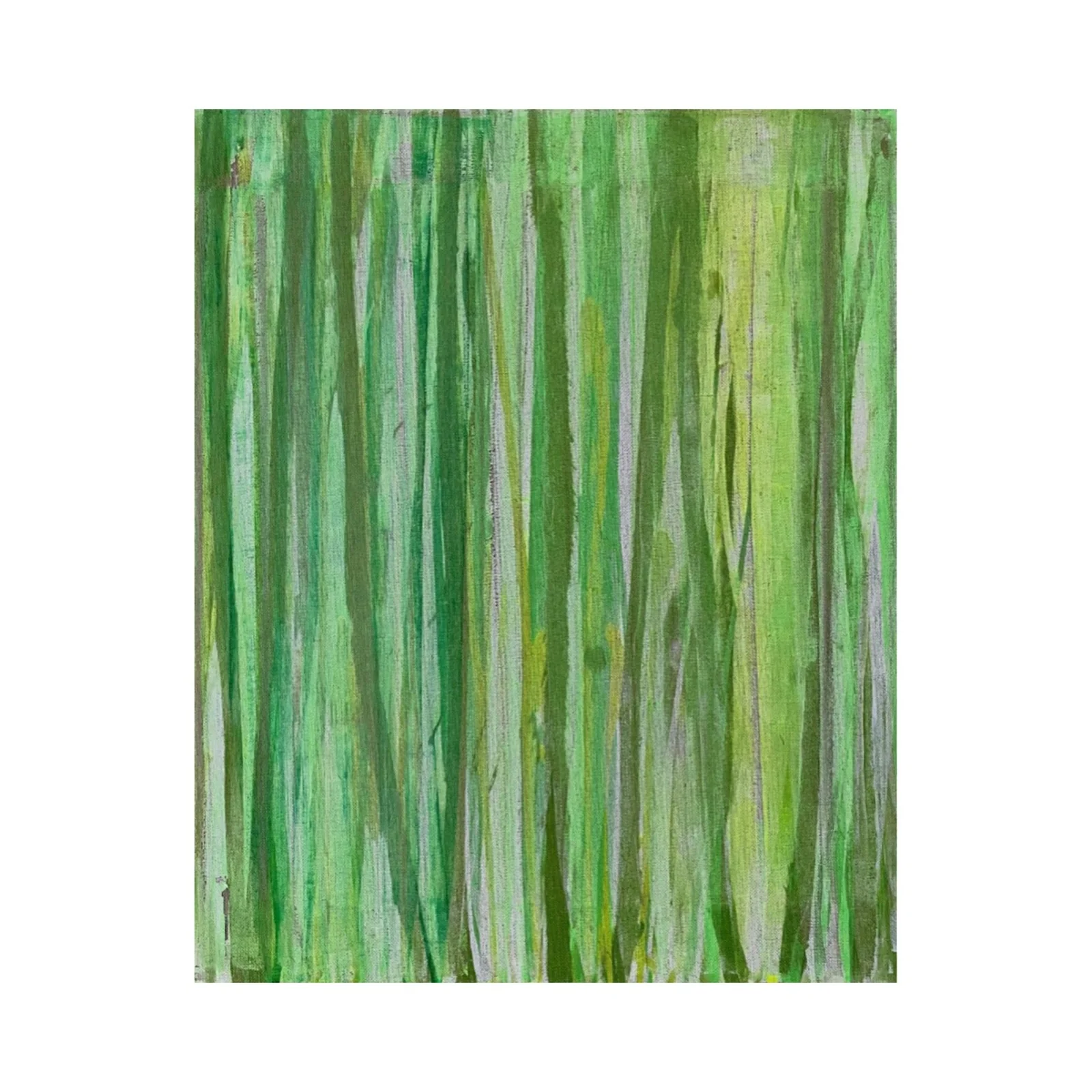 Where Cacti Grow - View 2